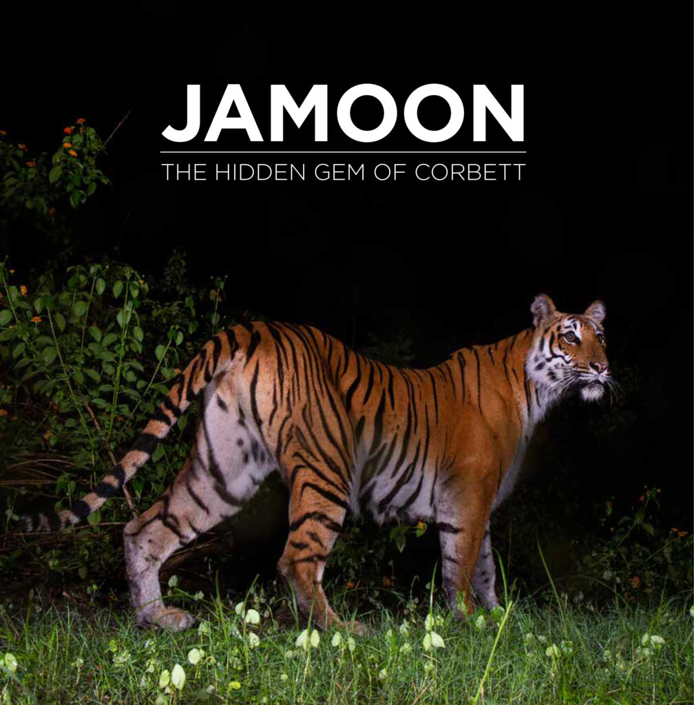 Jamoon Cover