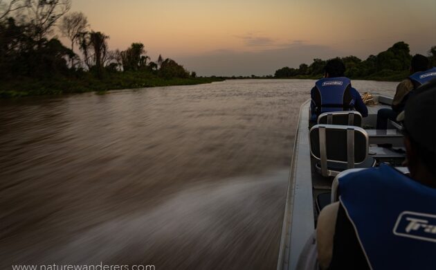 Wild Pantanal 6 Wild Pantanal 06