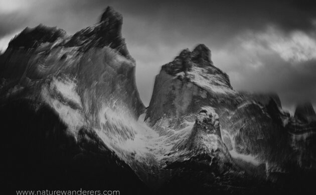Wild Patagonia 1 Wild Patagonia 01