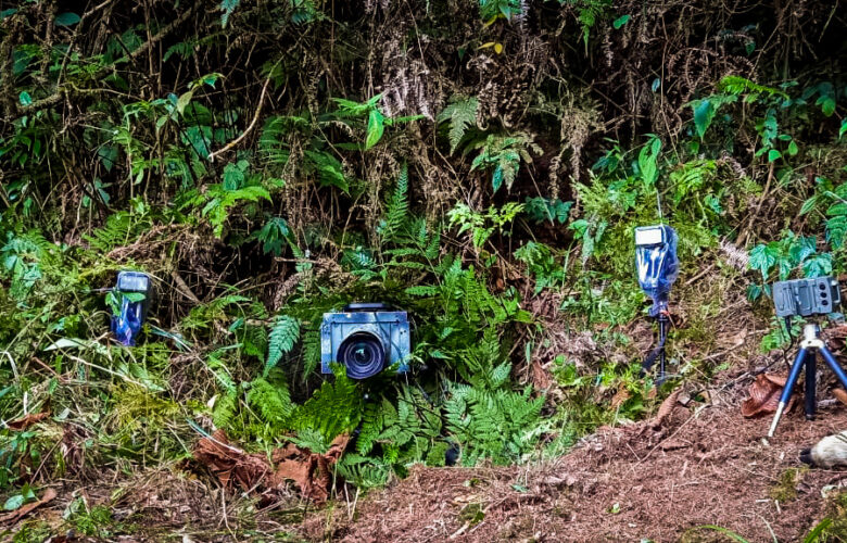 DSLR Camera Trap Photography 2 Our all-terrain camera trapping setup
