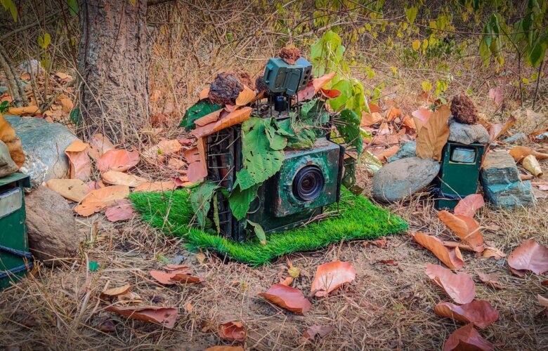 DSLR Camera Trap Photography 3 Our elephant proof camera trapping setup