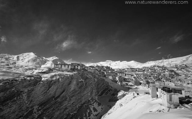 Snow Leopard Expedition 5 Snow Leopard G05