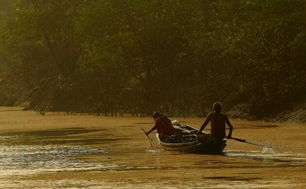 Mystic Mangroves 5 Sundarban G02