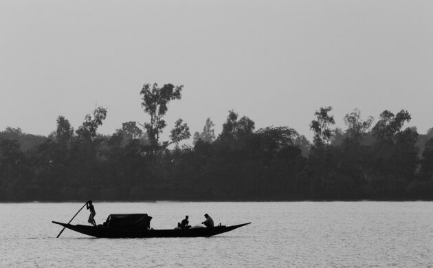 Mystic Mangroves 4 Sundarban G04